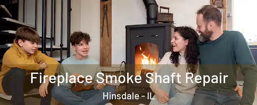  Fireplace Smoke Shaft Repair Hinsdale - IL