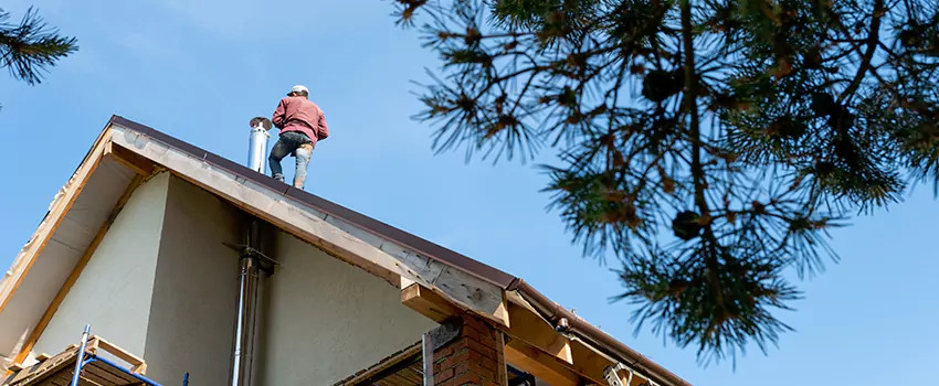 Birds Removal Contractors from Chimney in Hinsdale, IL